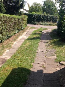 Hovenier in Hoofddorp